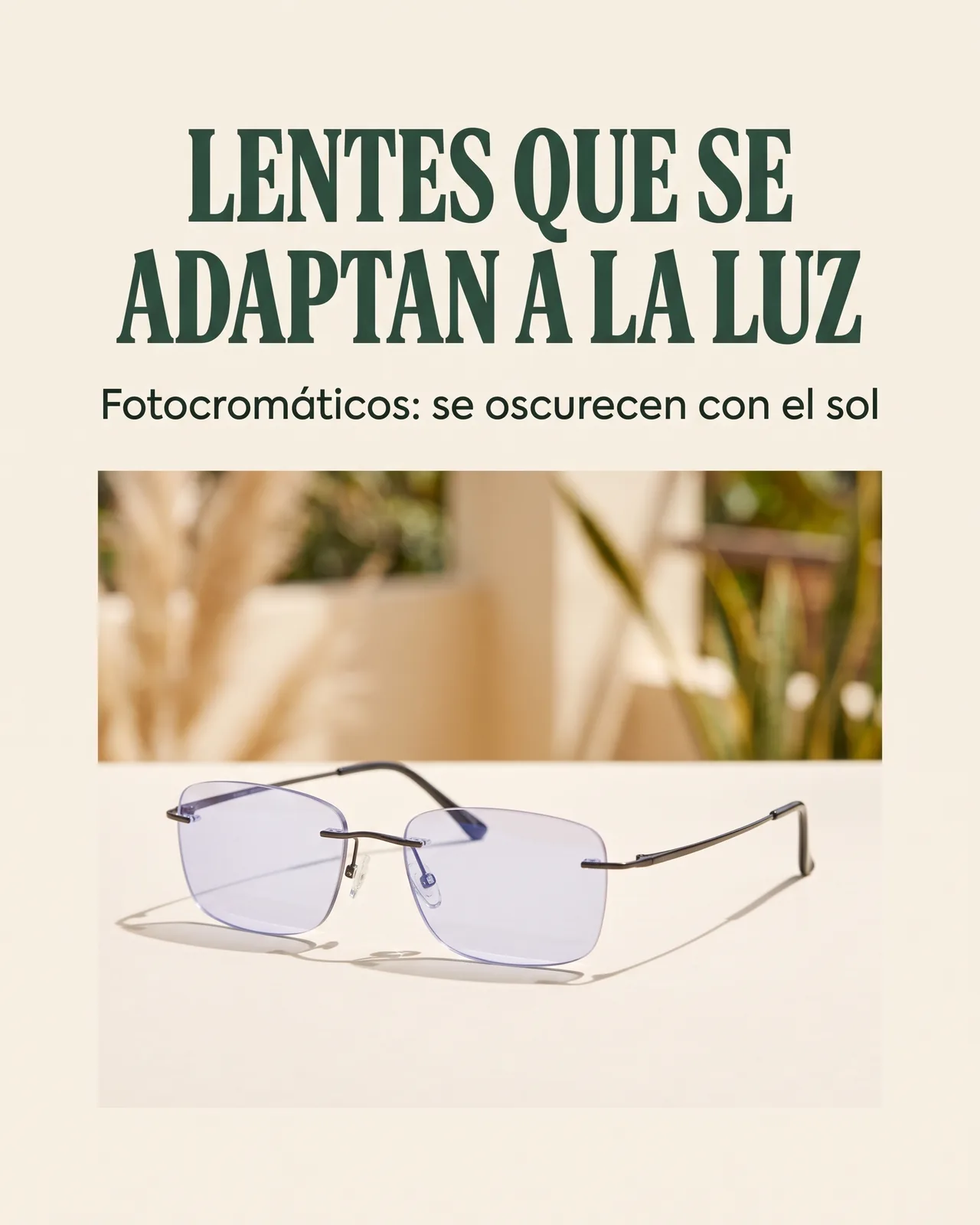 Gafas TR90 Fotocromáticas: Lentes que se adaptan a la luz
