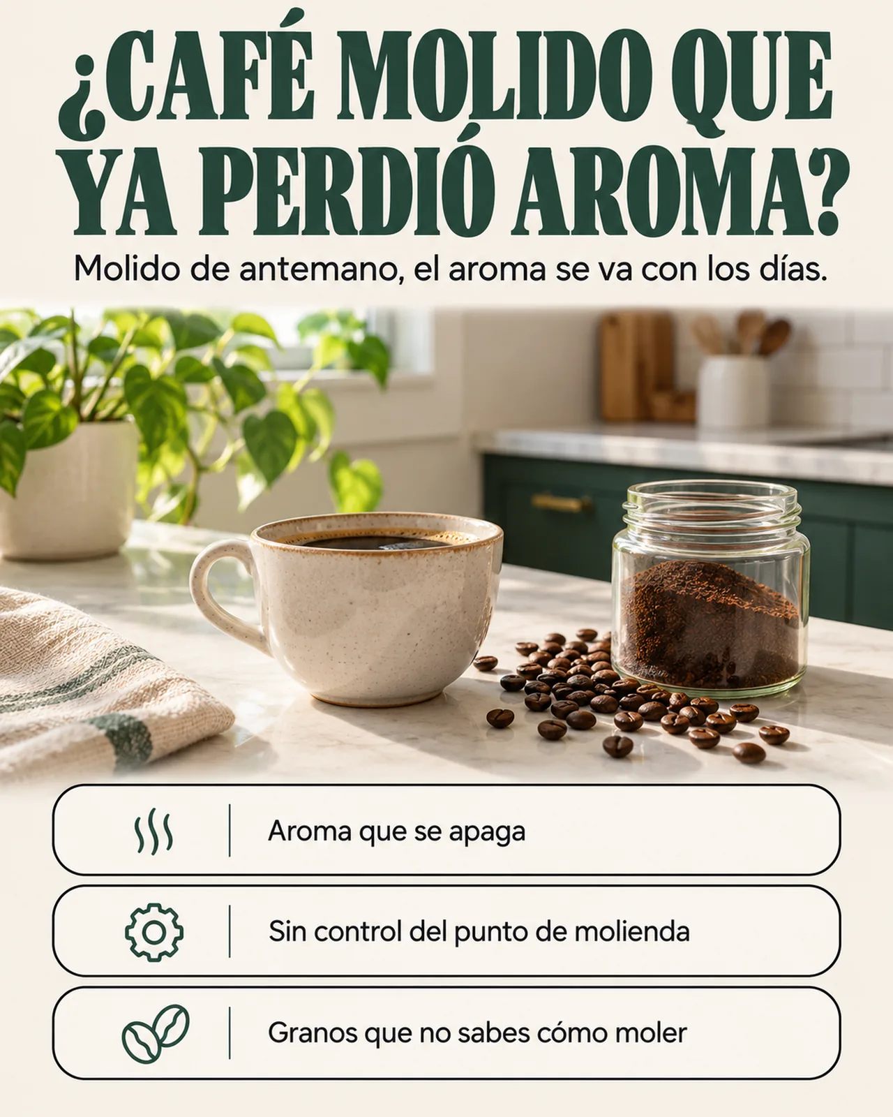 Molino Eléctrico de Café y Granos: ¿café molido que ya perdió aroma?
